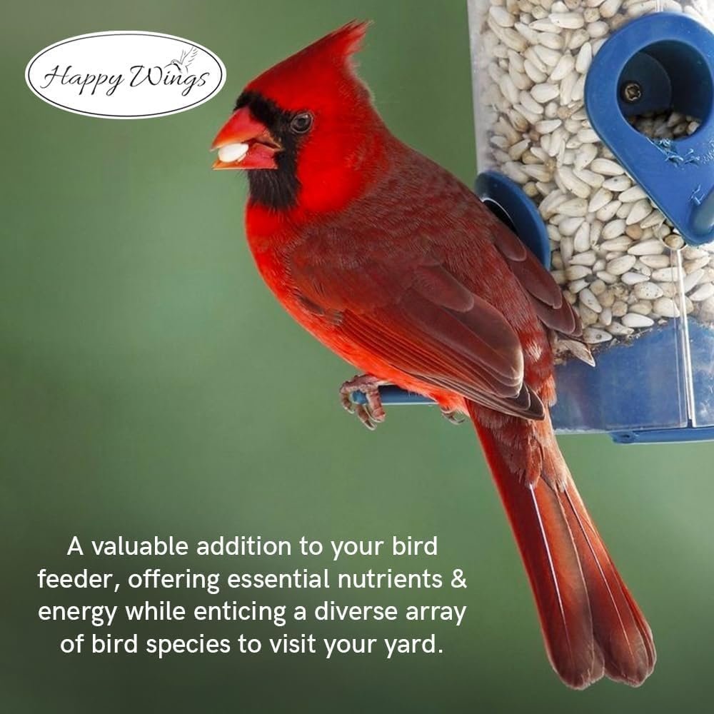 Happy Wings Sunflower Hearts & Chips Bird Food 5 lbs- Combo Pack of 2I No Mess, No Waste Seed No Grow Formula Ideal for Wild Birds, Finches, Sparrows, and Year-Round Feeding. - Image 5