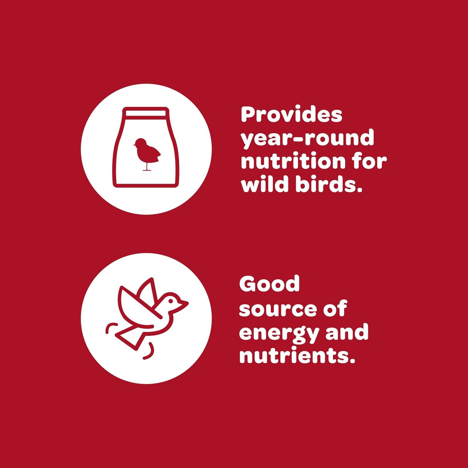 Kaytee All American Wild Bird Food Seed Blend, 5 Pound - Image 5