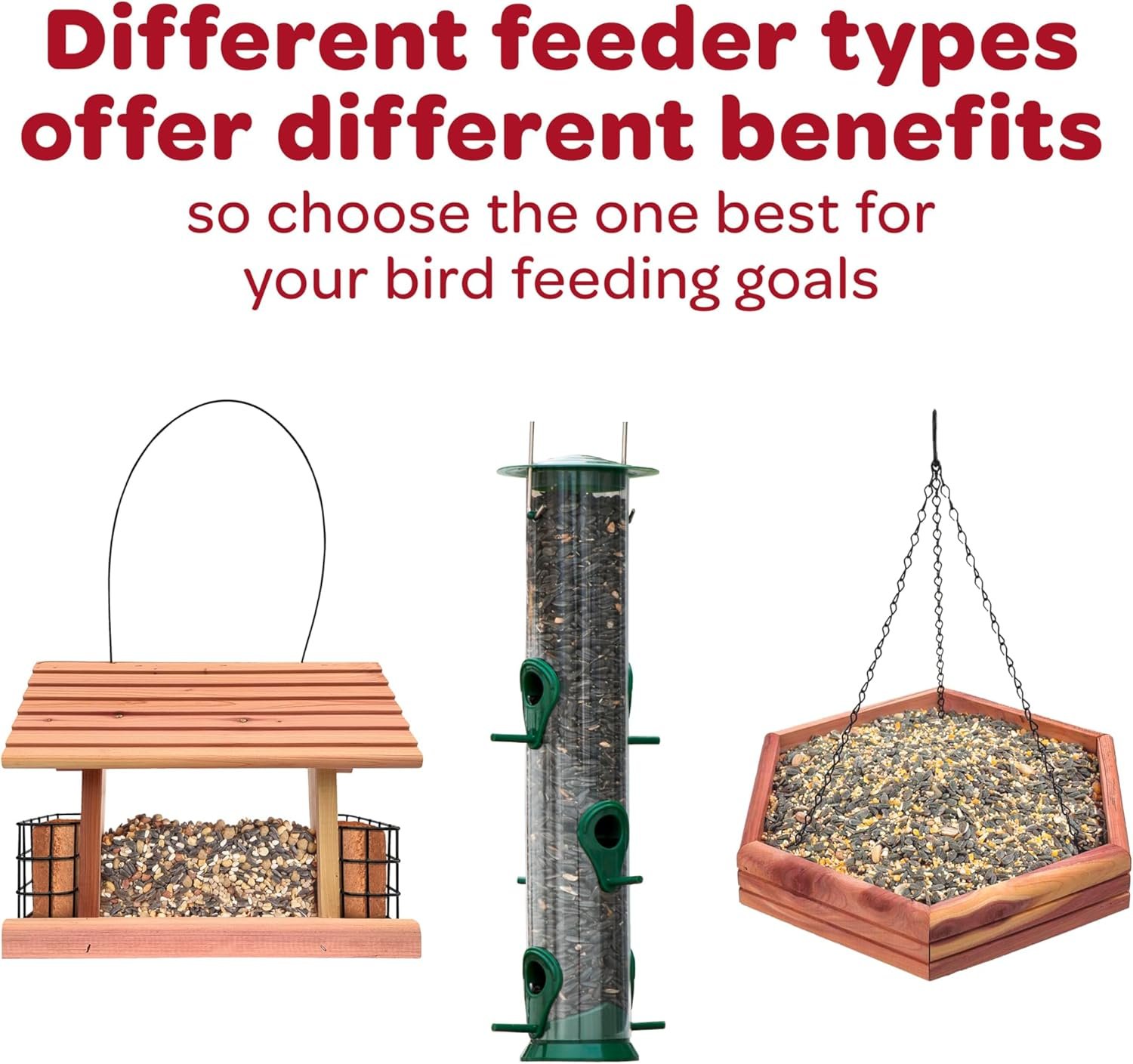 Kaytee All American Wild Bird Food Seed Blend, 5 Pound - Image 6