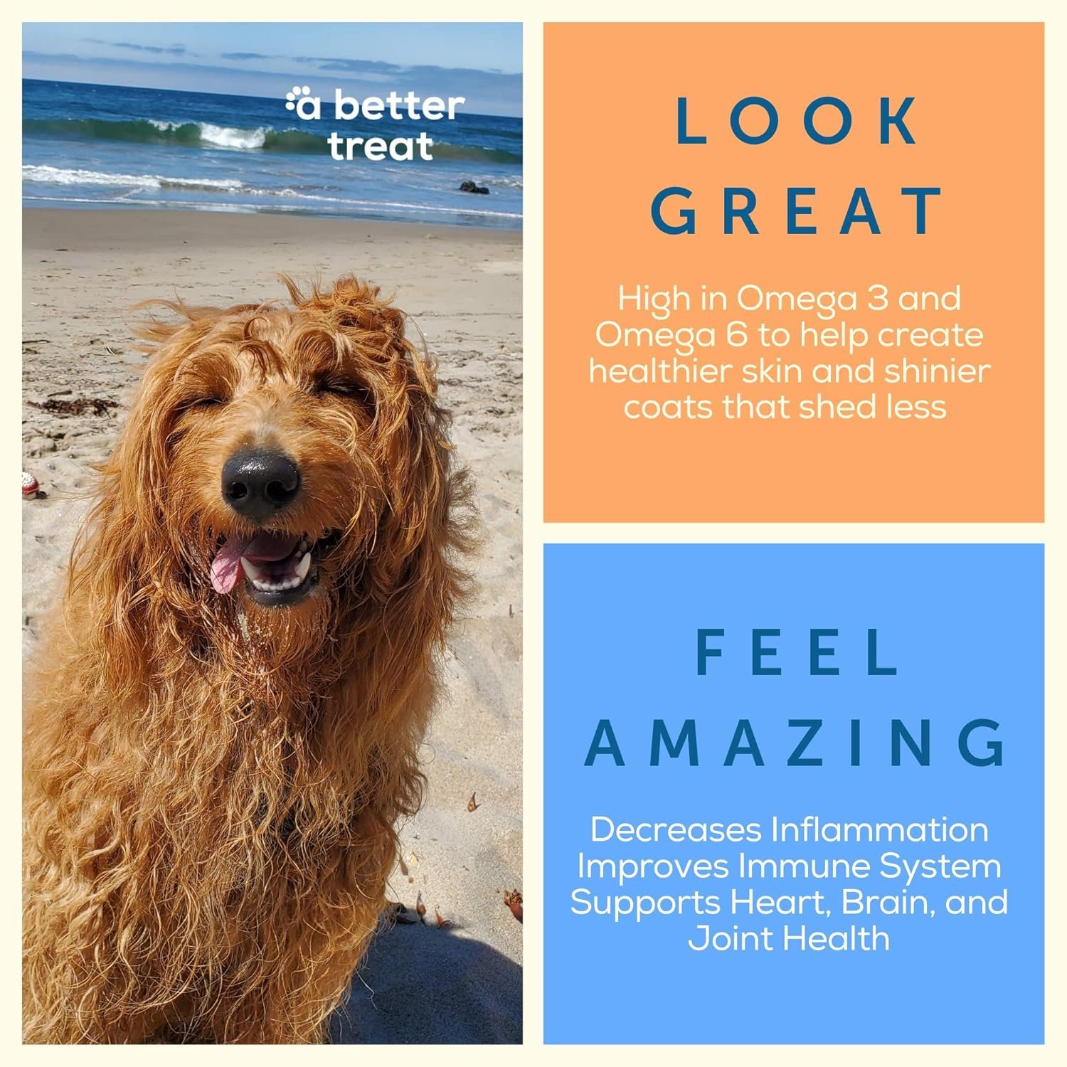 A Better Treat – Freeze Dried Salmon Dog Treats, Wild Caught, Single Ingredient | Natural High Value | Gluten Free, Grain Free, High Protein, Diabetic Friendly | Natural Fish Oil | Made in The USA - Image 7