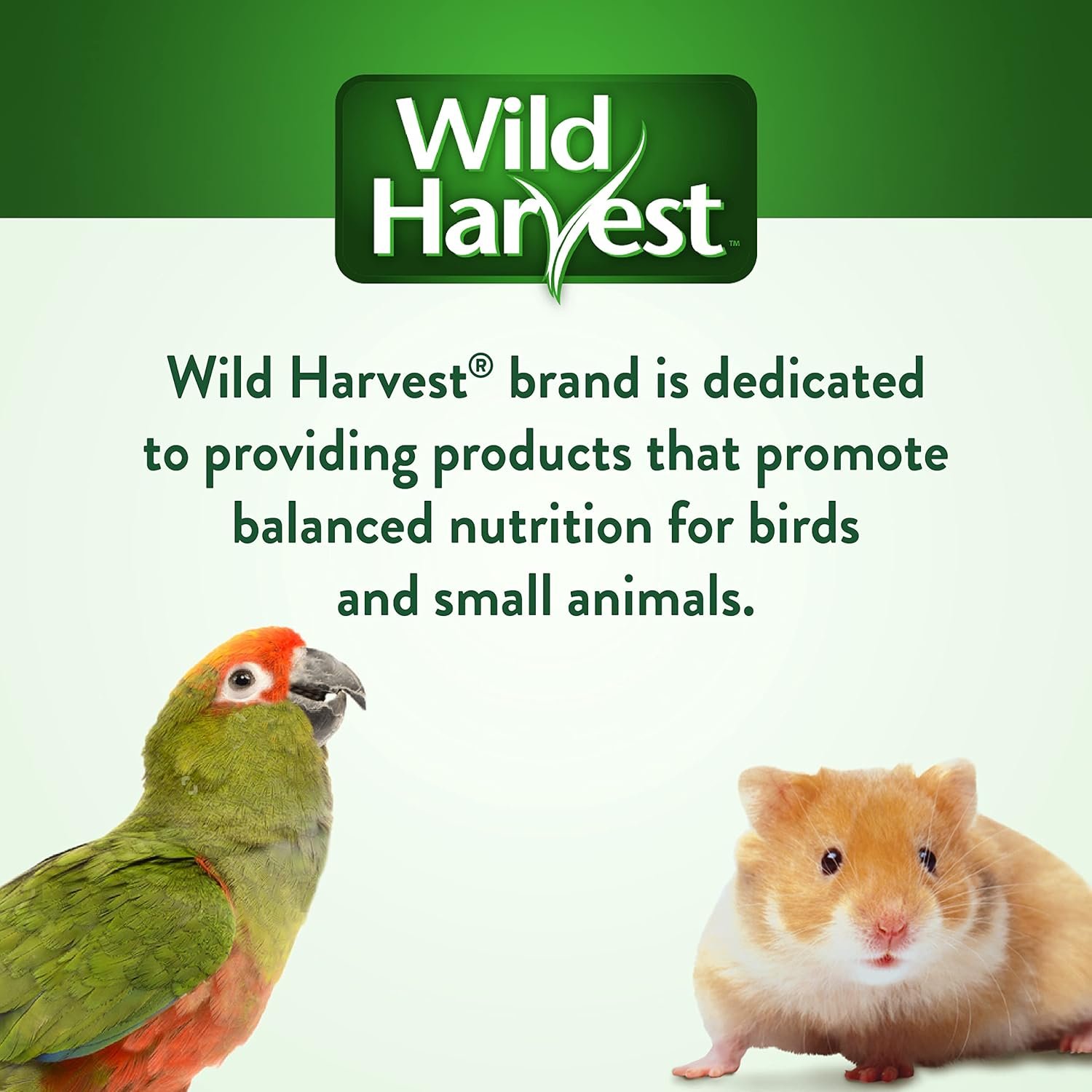 Wild Harvest Daily Blend Nutrition Diet Parakeet, Canary And Finch, Bird Food, 5 Pounds - Image 8