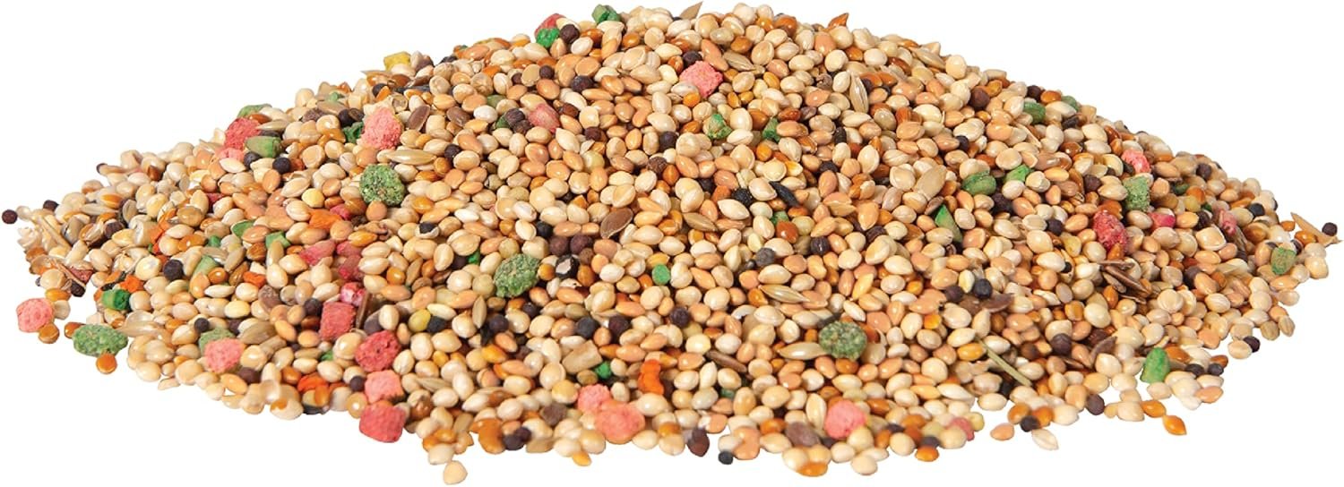 Wild Harvest Daily Blend Nutrition Diet Parakeet, Canary And Finch, Bird Food, 5 Pounds - Image 4