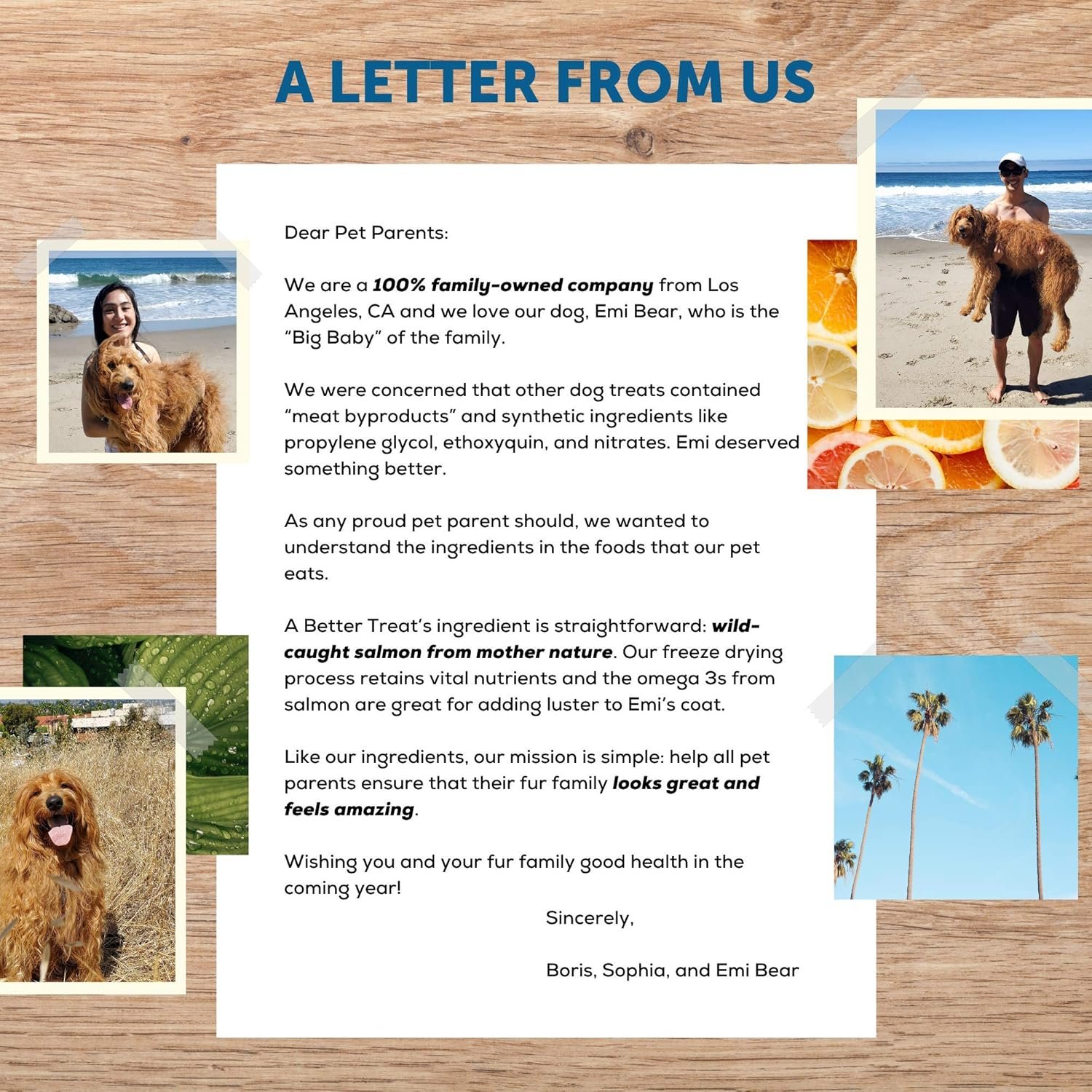 A Better Treat – Freeze Dried Salmon Dog Treats, Wild Caught, Single Ingredient | Natural High Value | Gluten Free, Grain Free, High Protein, Diabetic Friendly | Natural Fish Oil | Made in The USA - Image 6