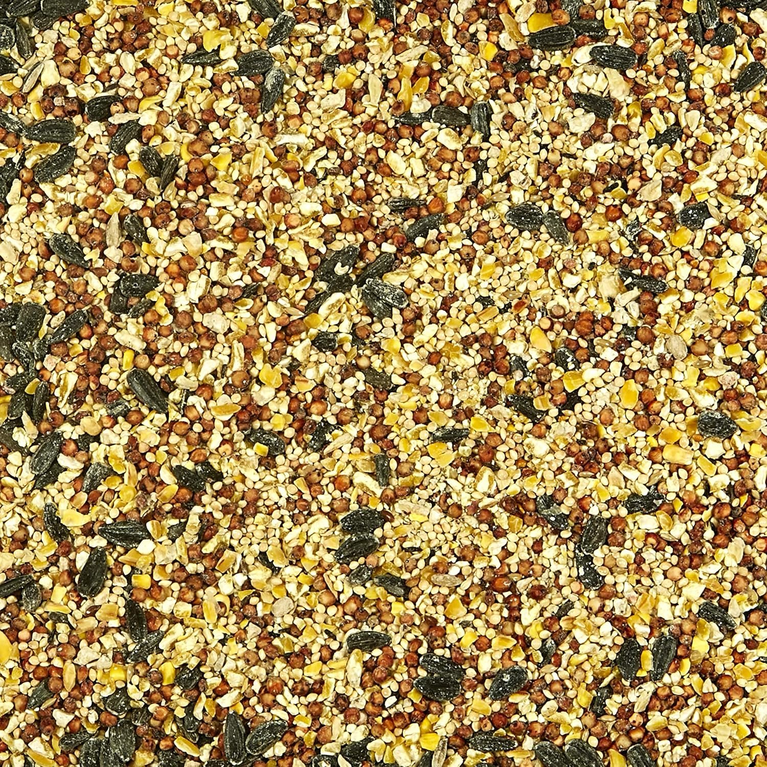 Kaytee All American Wild Bird Food Seed Blend, 5 Pound - Image 4