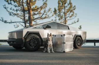 How Do You Pick the Right Dog Crate for Travel?