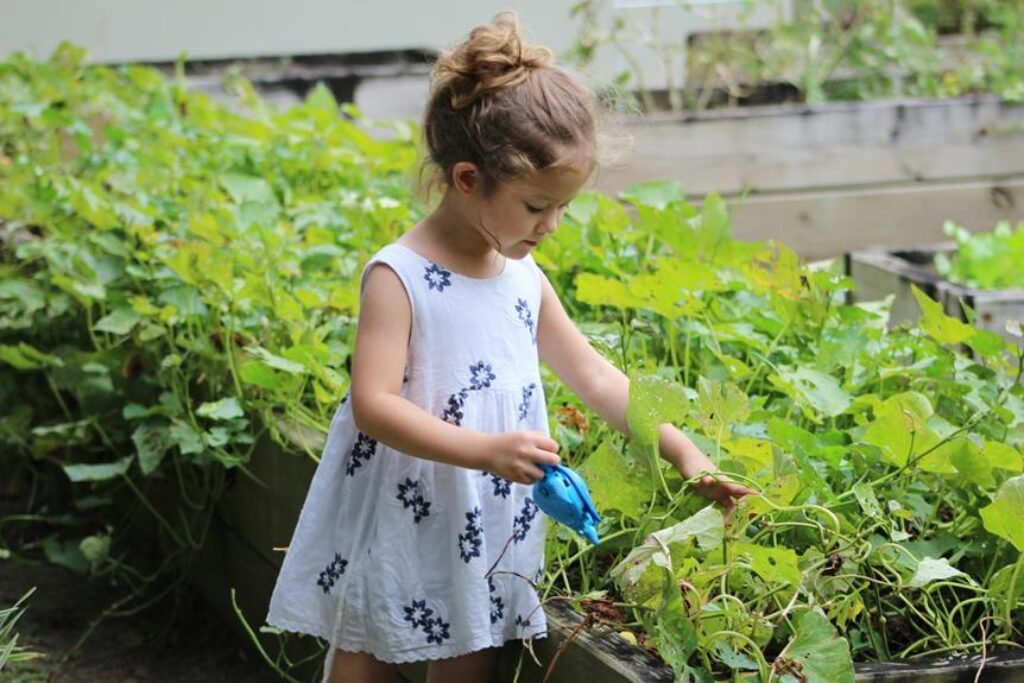 Exploring the Benefits of No-Till Organic Gardening