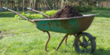 What Are the Advantages of Using Compost on Your Lawn?